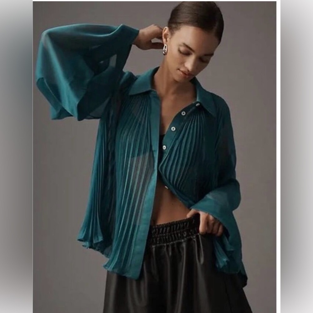 NWOT Maeve Small Pleated Sheer Button-Up Blouse